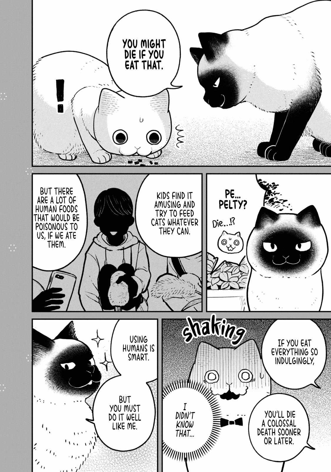 Tsureneko: Maruru to Hachi Chapter 9.2 page 3 - 