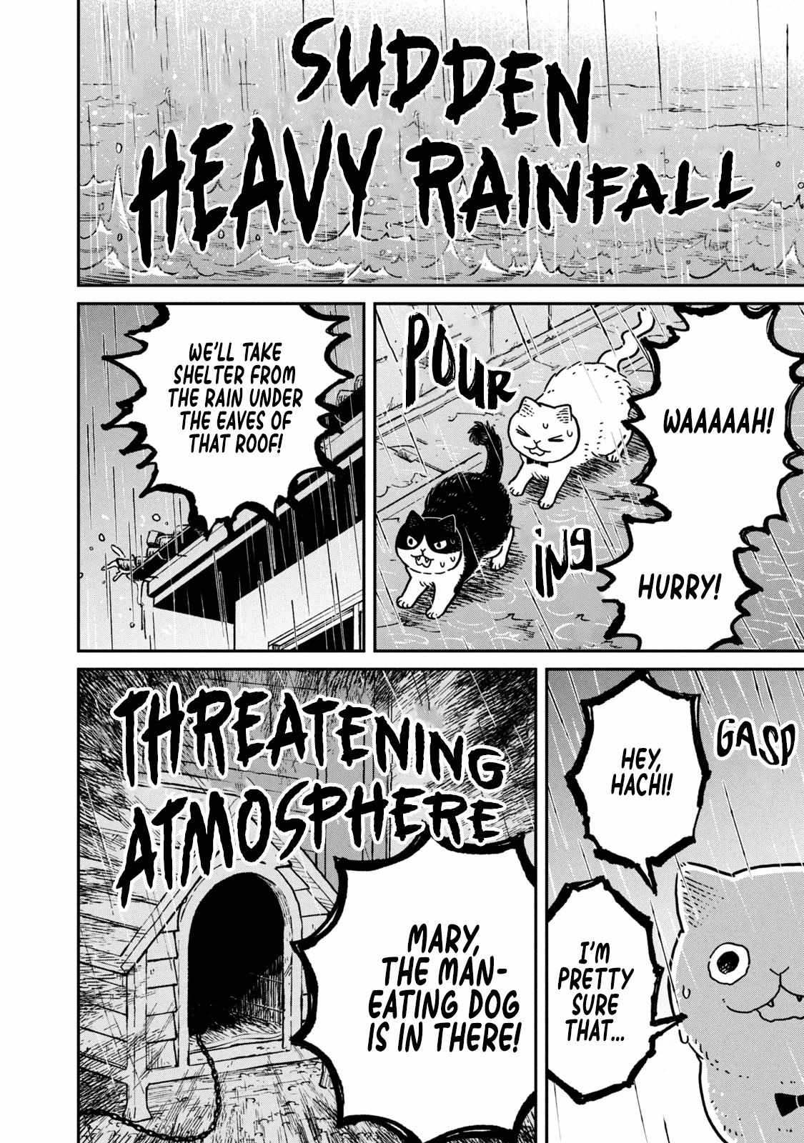 Tsureneko: Maruru to Hachi Chapter 9 page 13 - 