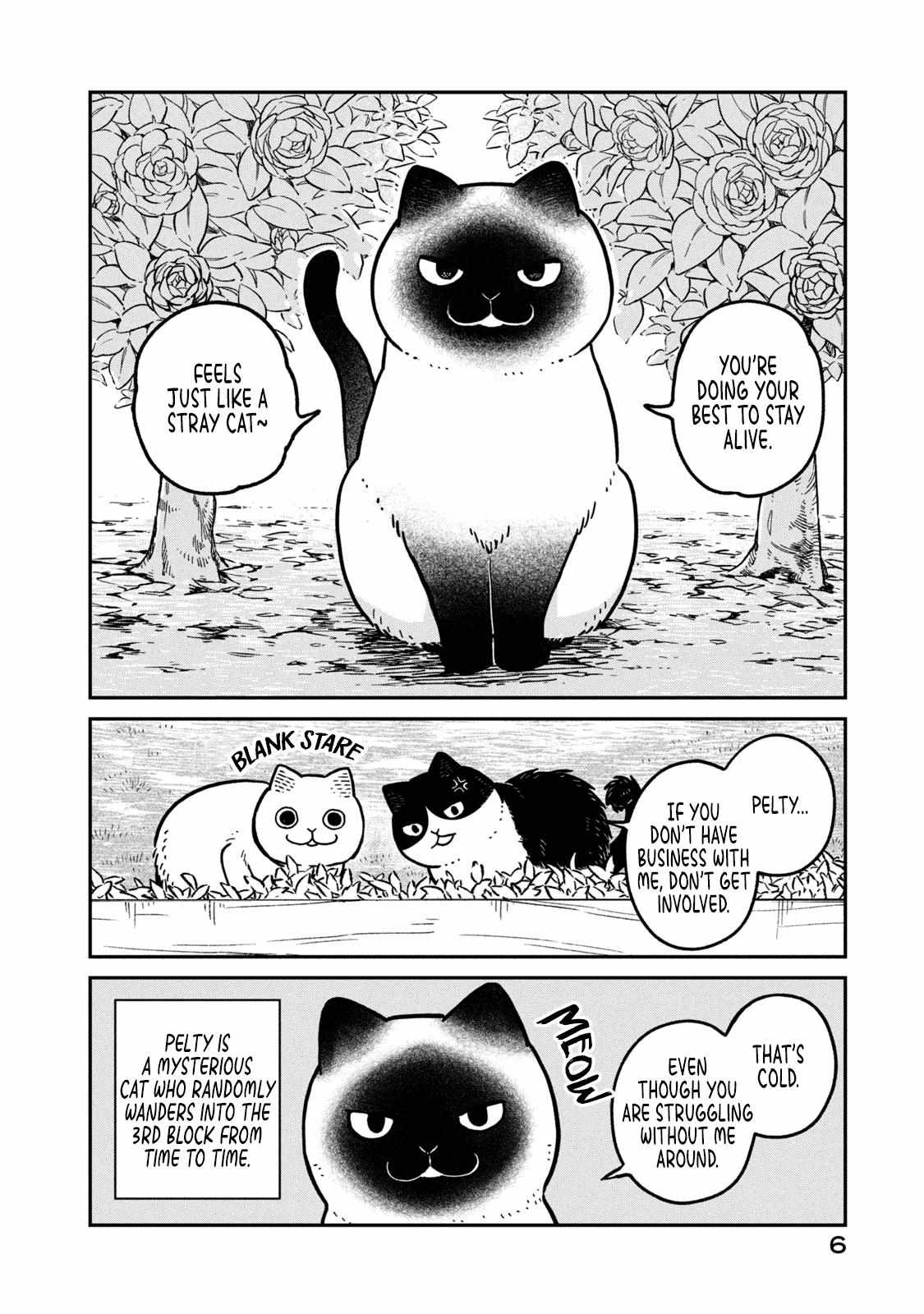 Tsureneko: Maruru to Hachi Chapter 9 page 9 - 