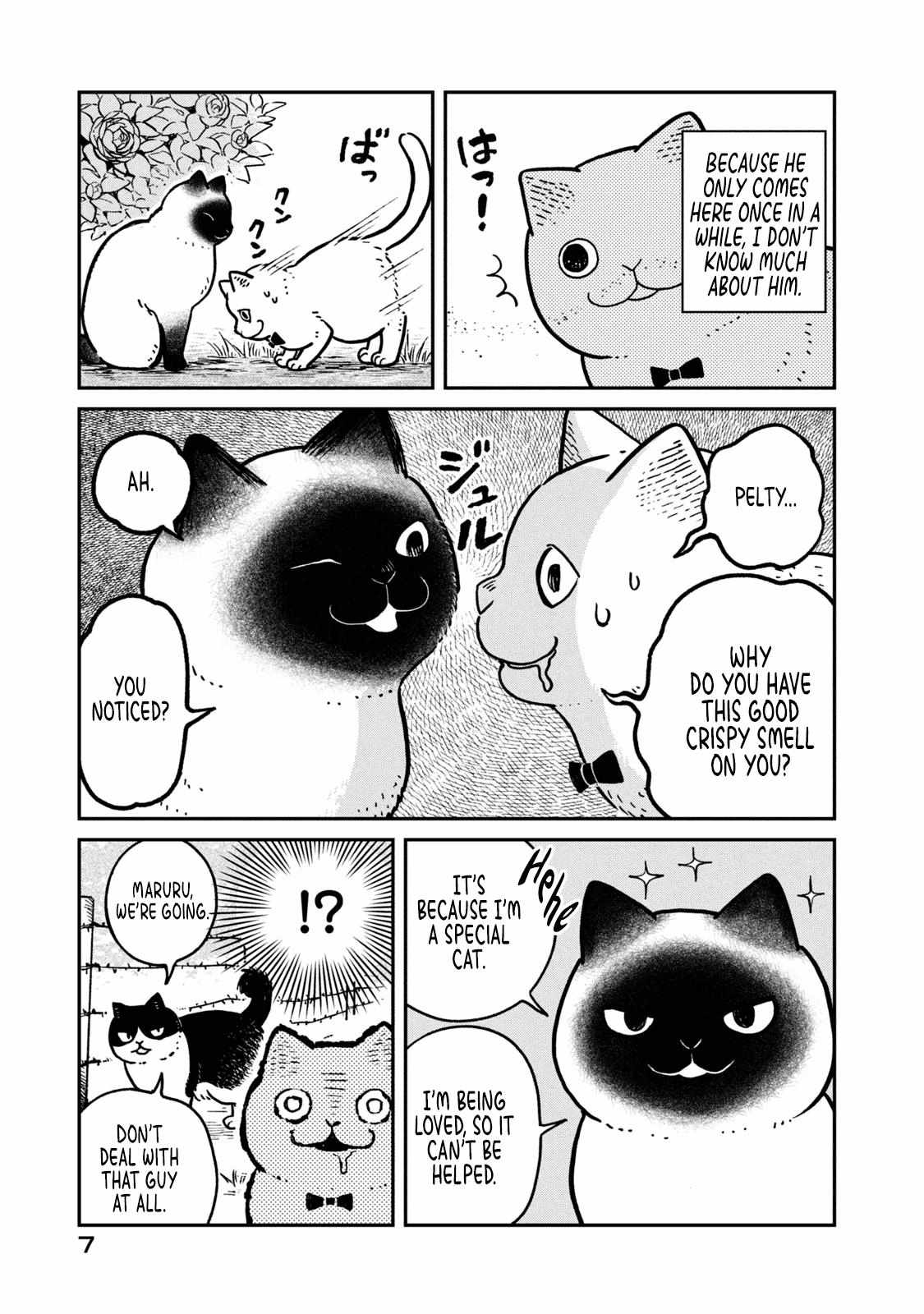 Tsureneko: Maruru to Hachi Chapter 9 page 10 - 
