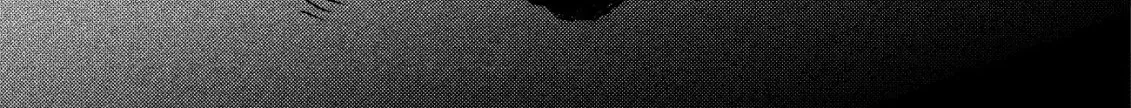 Tsuuhan de Katta Youtou ga Gachi datta: Tameshigiri Shitara Kuukan ga Sakete Isekai ni Tobasareta Ageku, Densetsu no Yuusha da to Kanchigai Sarete Komatteimasu Chapter 3 page 37 - 