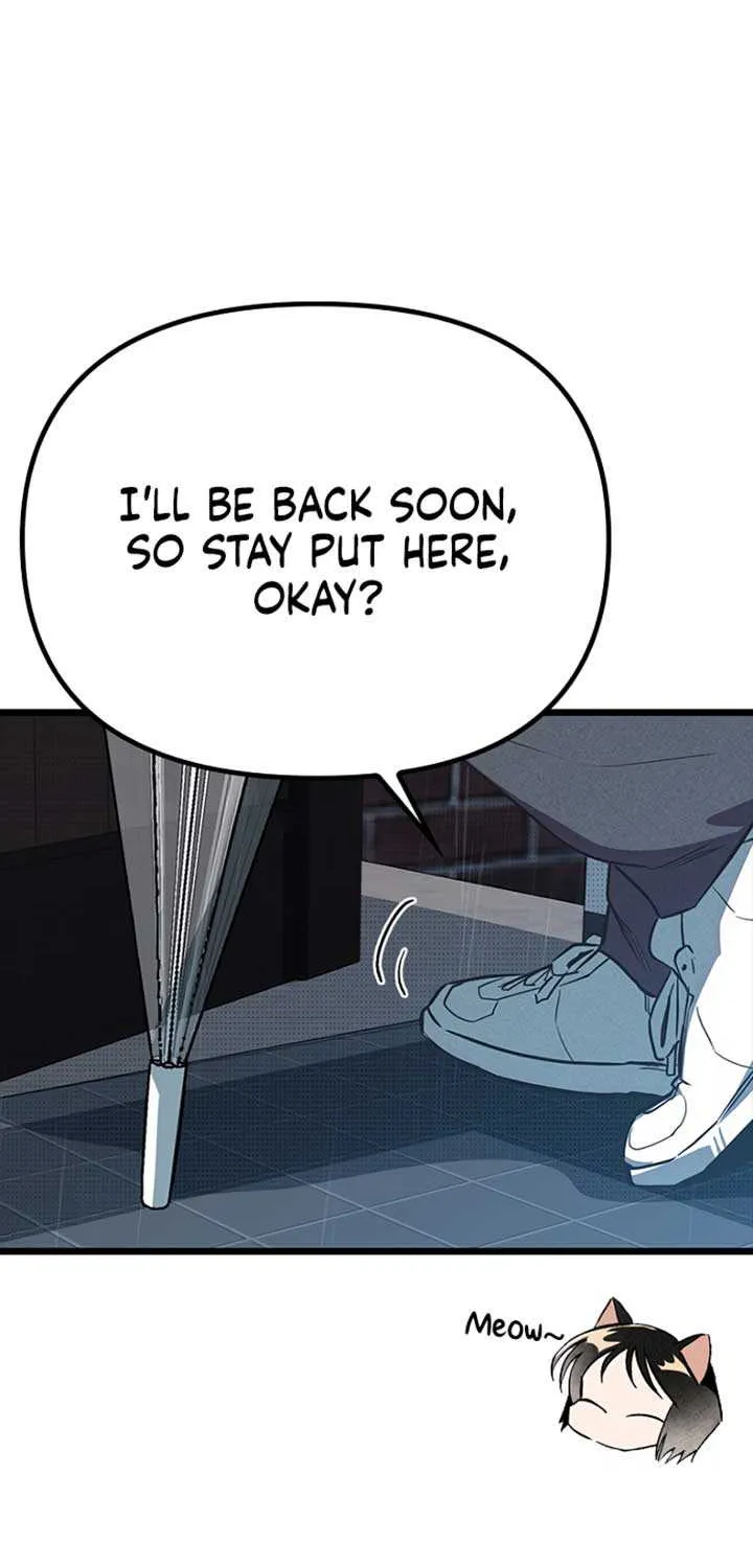 Twelve Zodiac Girls Chapter 10 page 51 - 