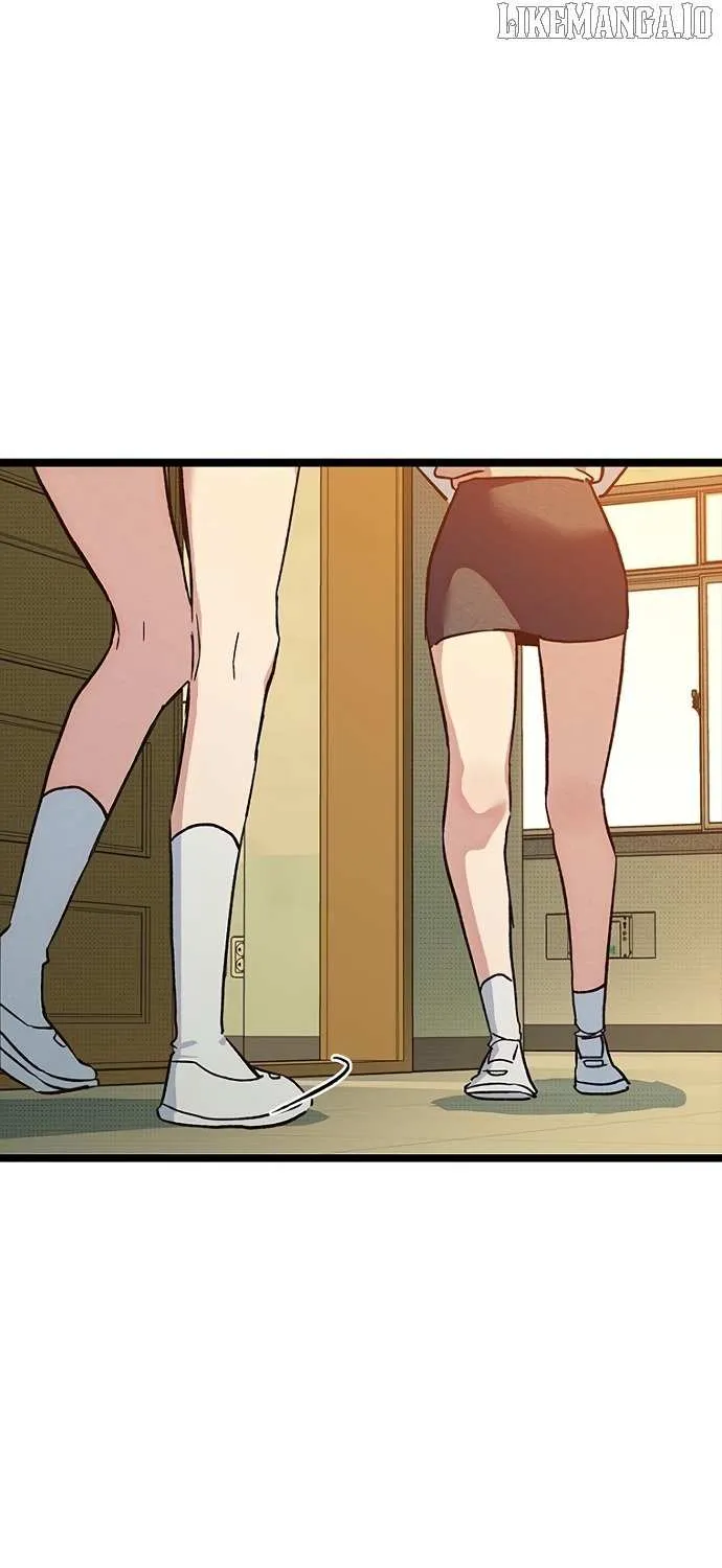 Twelve Zodiac Girls Chapter 15 page 1 - 