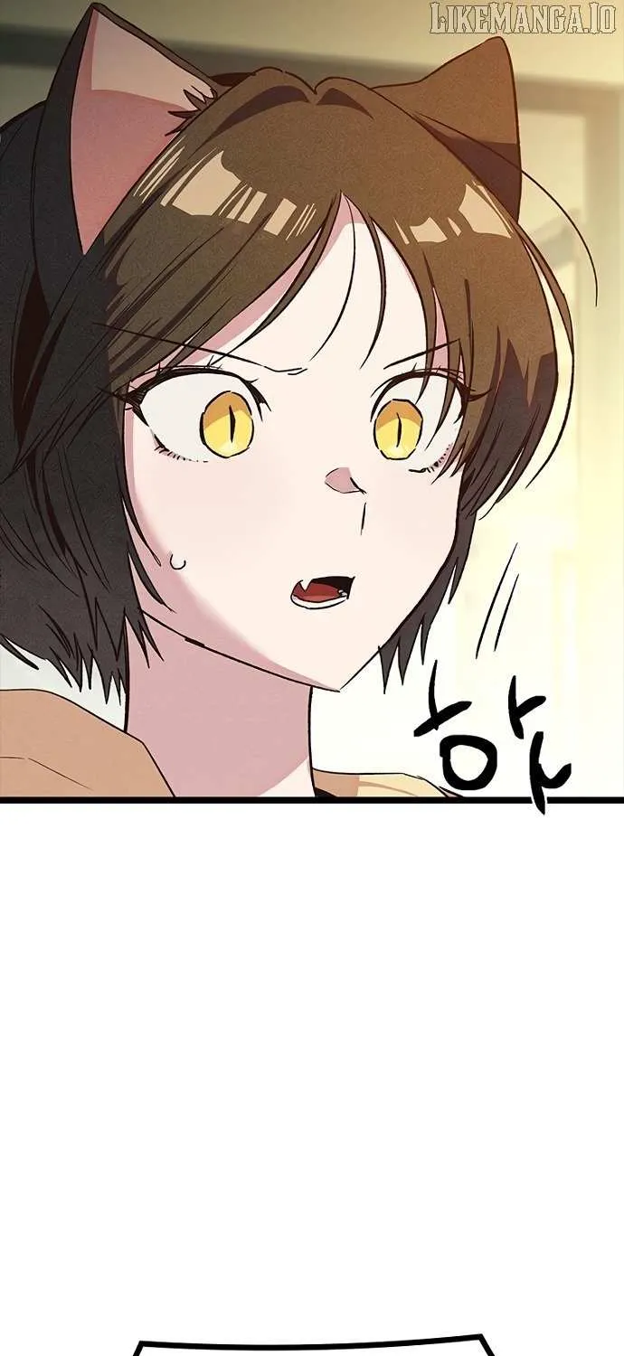 Twelve Zodiac Girls Chapter 15 page 36 - 