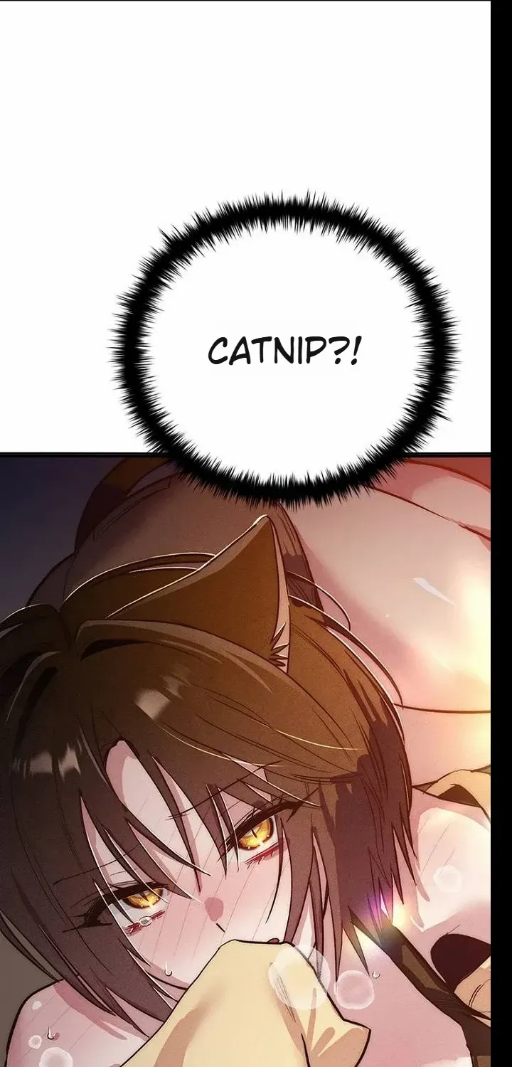 Twelve Zodiac Girls Chapter 16 page 71 - 