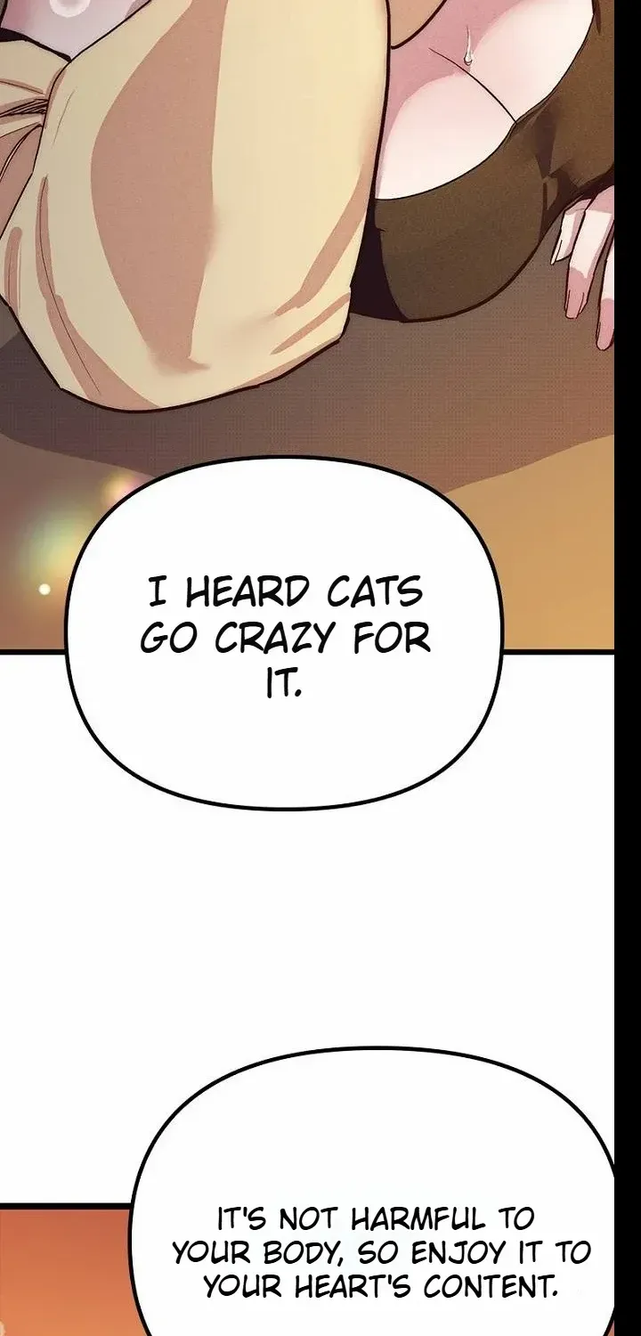 Twelve Zodiac Girls Chapter 16 page 72 - 