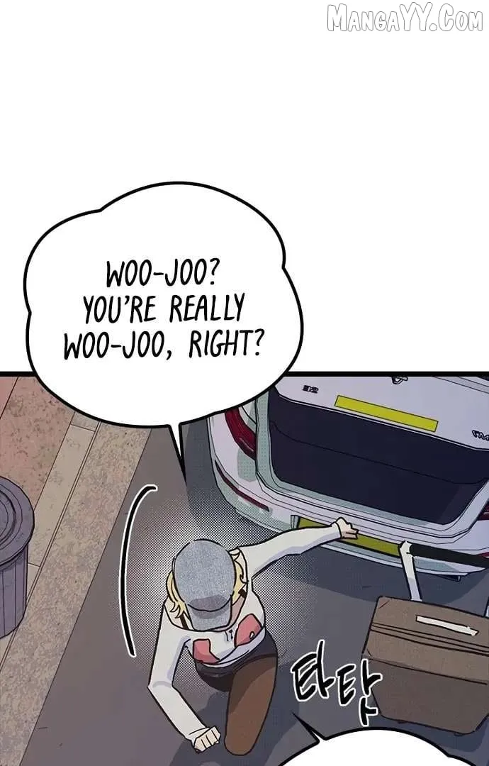 Twelve Zodiac Girls Chapter 19 page 150 - 