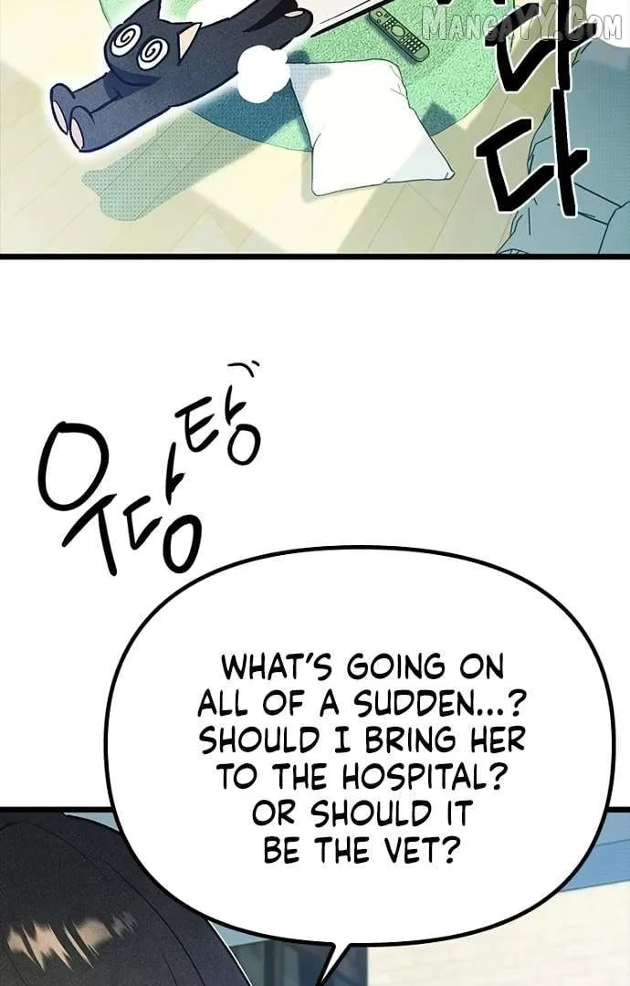 Twelve Zodiac Girls Chapter 19 page 48 - 