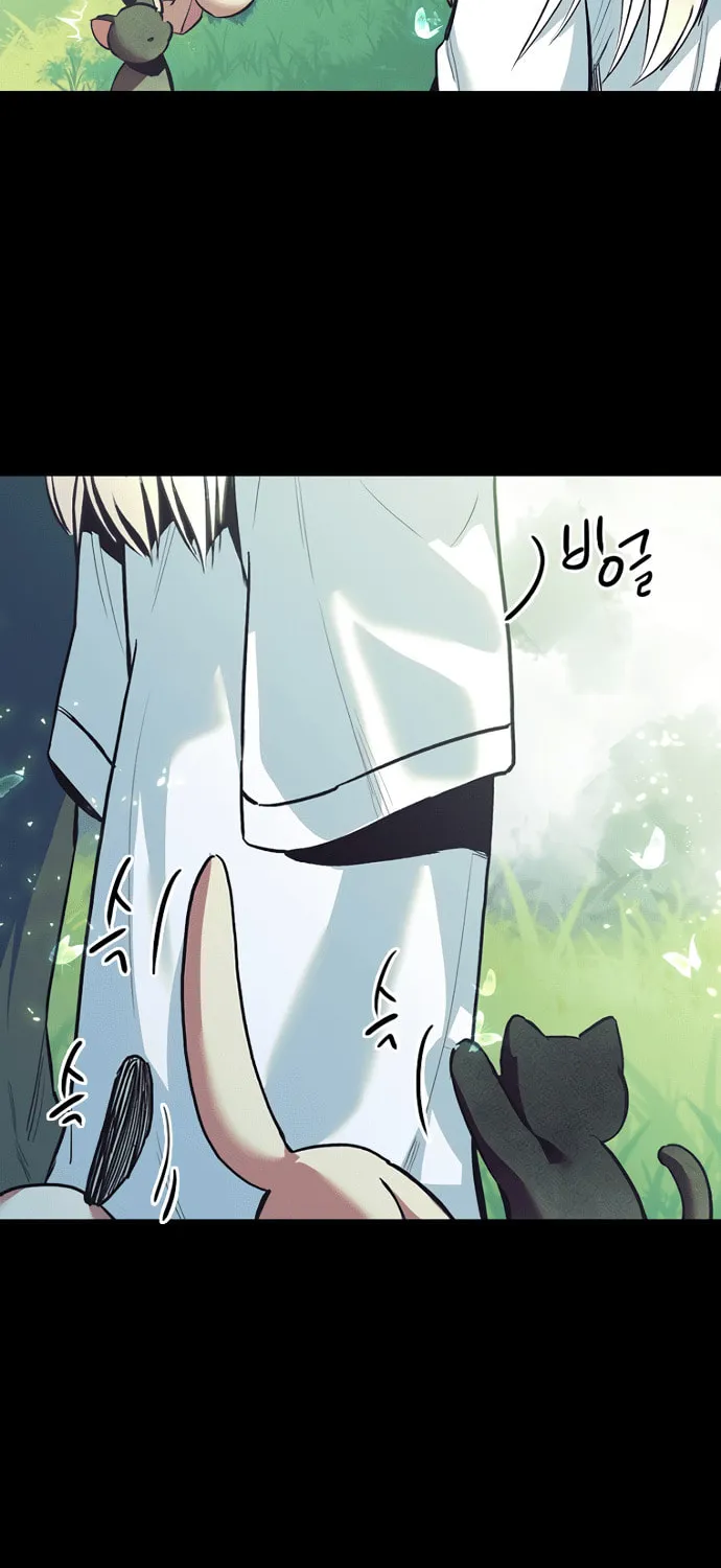 Twelve Zodiac Girls Chapter 2 page 44 - 