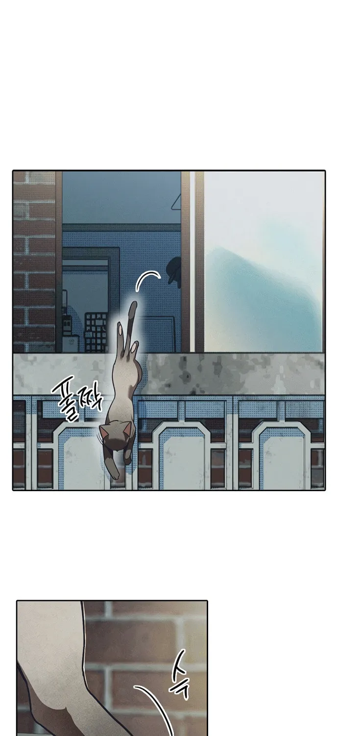 Twelve Zodiac Girls Chapter 2 page 60 - 