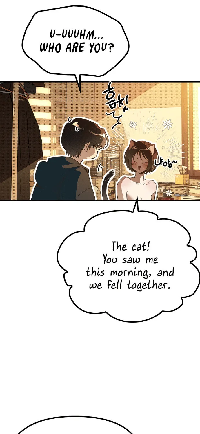 Twelve Zodiac Girls Chapter 2 page 9 - 