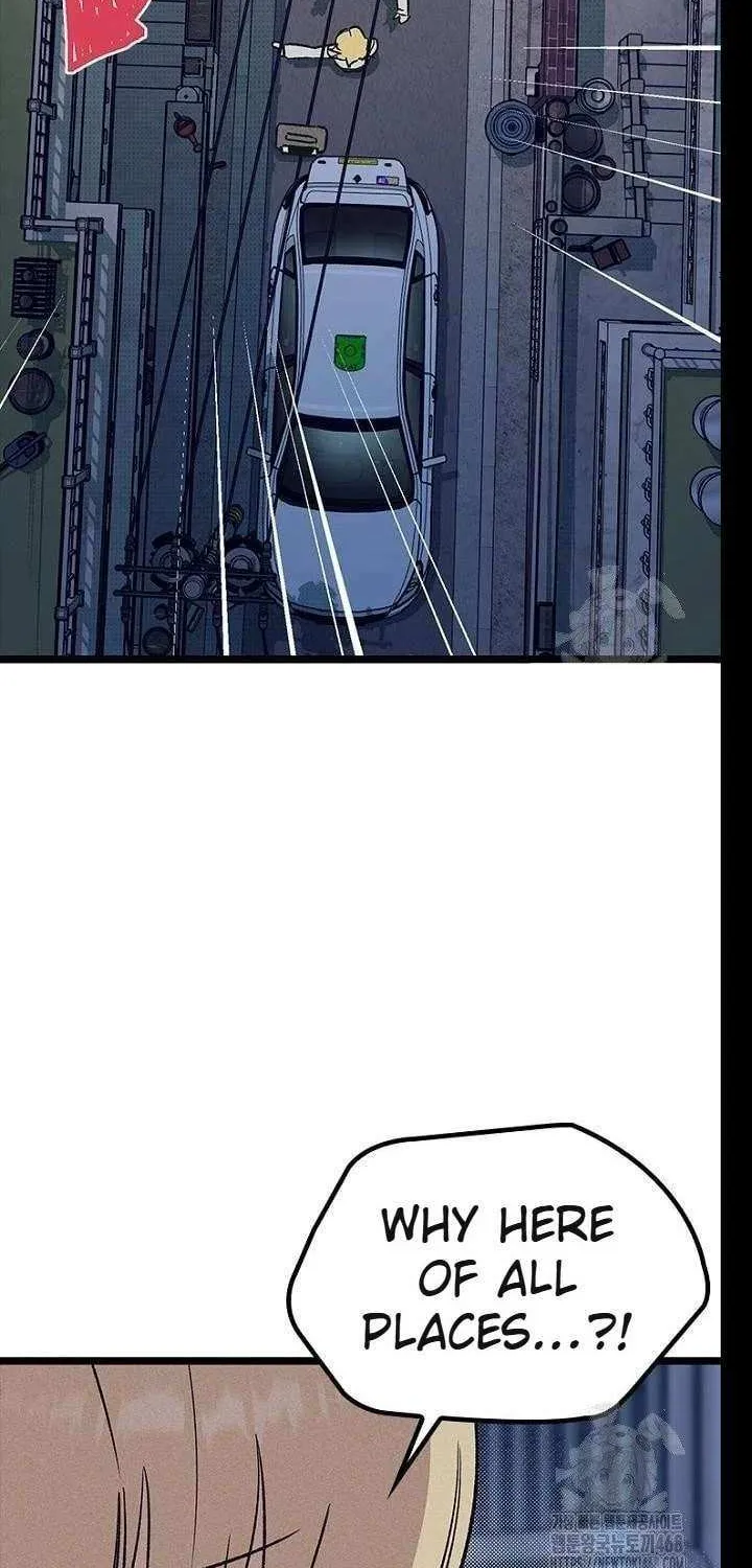 Twelve Zodiac Girls Chapter 20 page 60 - 