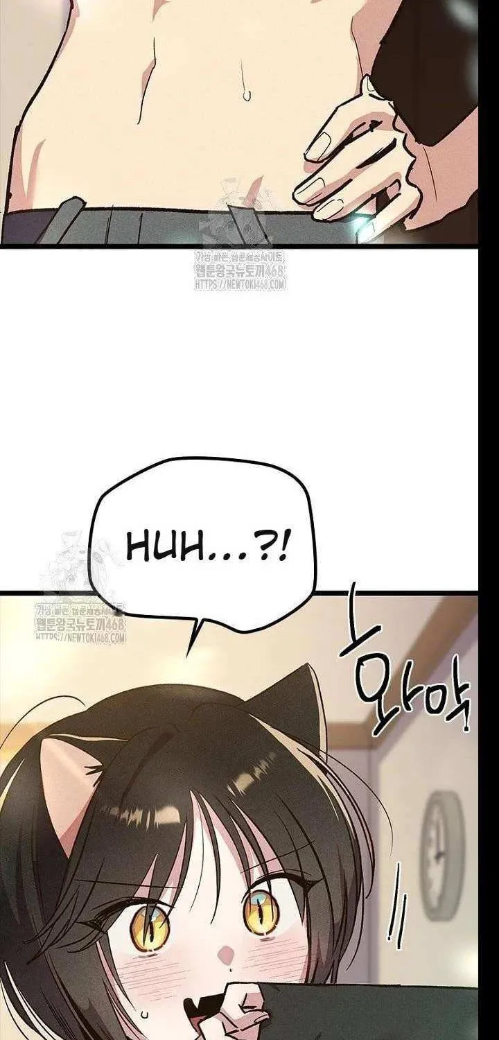 Twelve Zodiac Girls Chapter 20 page 91 - 