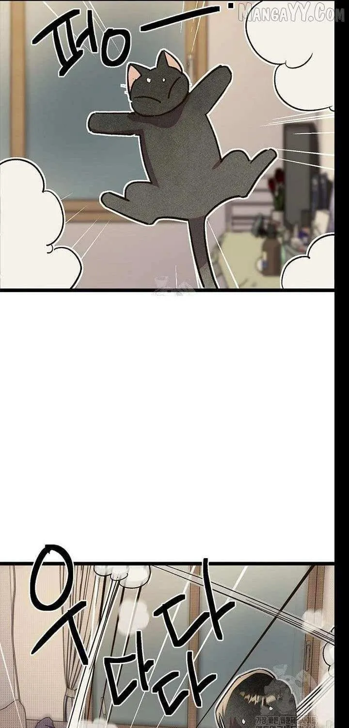 Twelve Zodiac Girls Chapter 20 page 96 - 