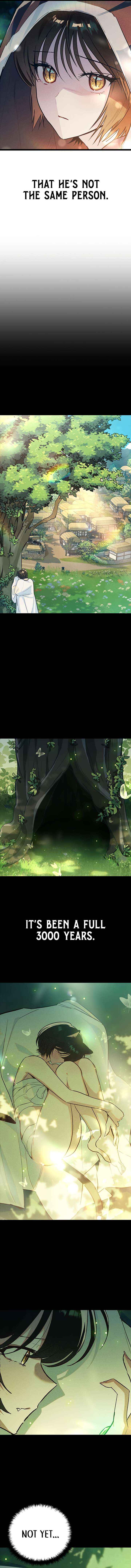 Twelve Zodiac Girls Chapter 22 page 5 - 