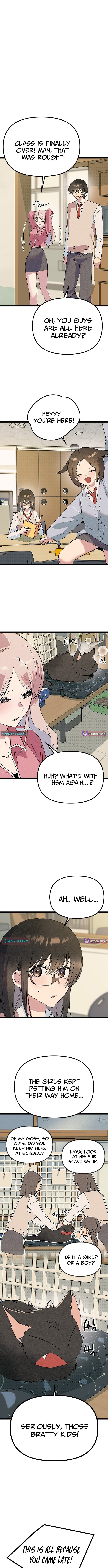 Twelve Zodiac Girls Chapter 34 page 8 - 