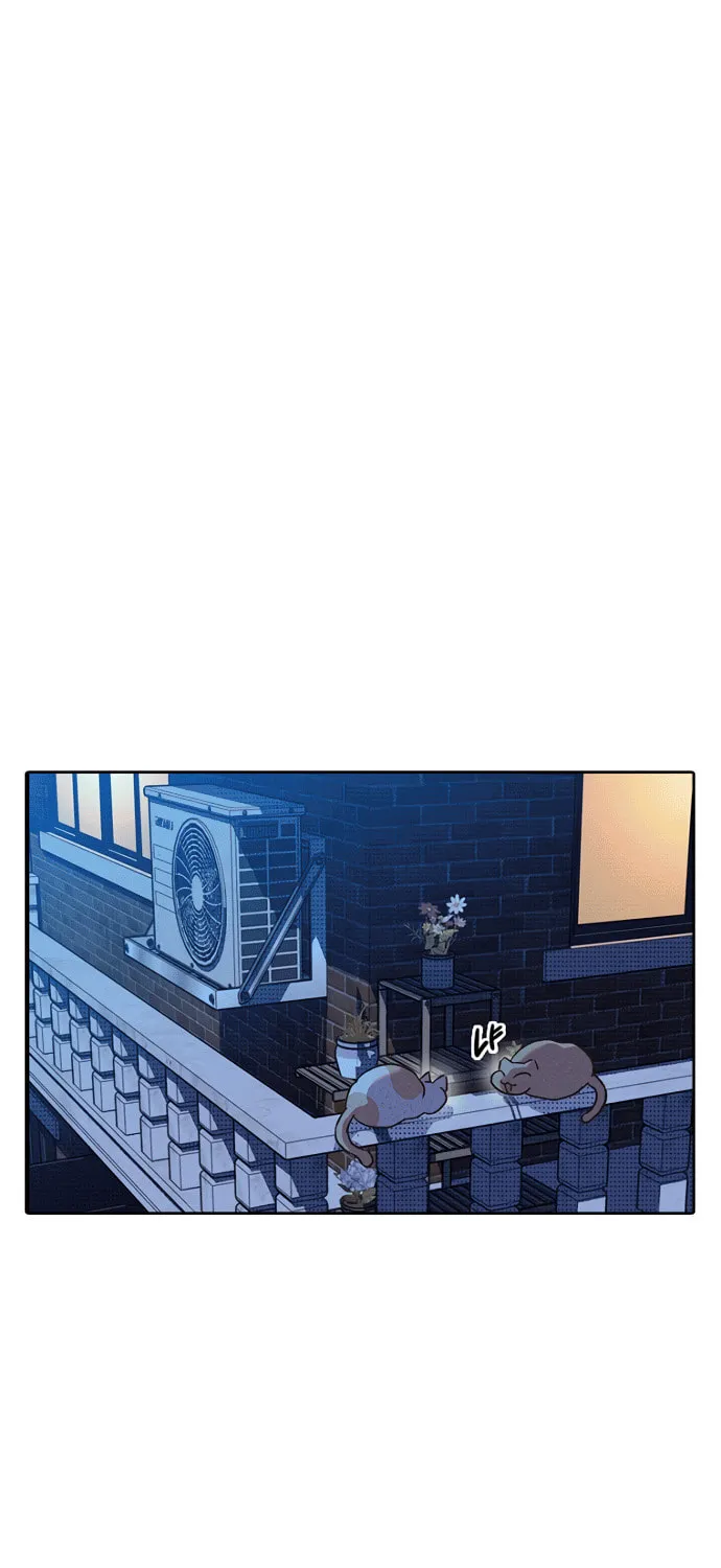 Twelve Zodiac Girls Chapter 5 page 15 - 