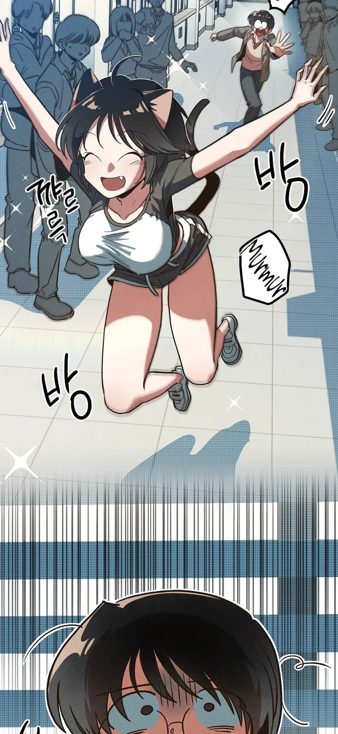 Twelve Zodiac Girls Chapter 5 page 52 - 