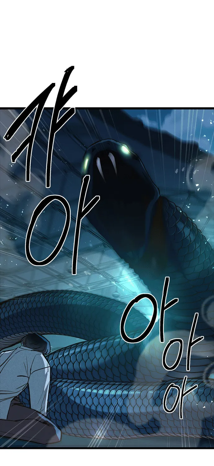 Twelve Zodiac Girls Chapter 8 page 2 - 
