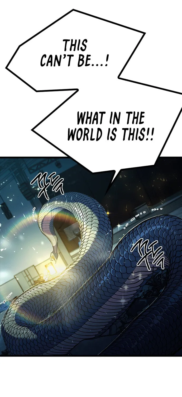 Twelve Zodiac Girls Chapter 8 page 11 - 