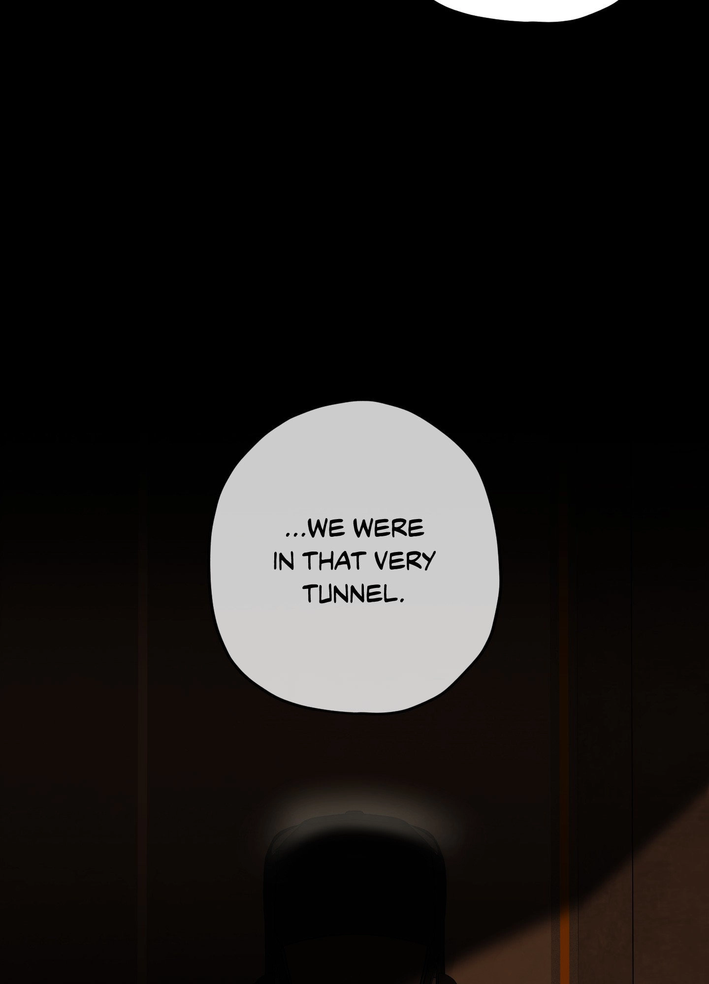 Two Tigers, Too Close Chapter 19 page 27 - 
