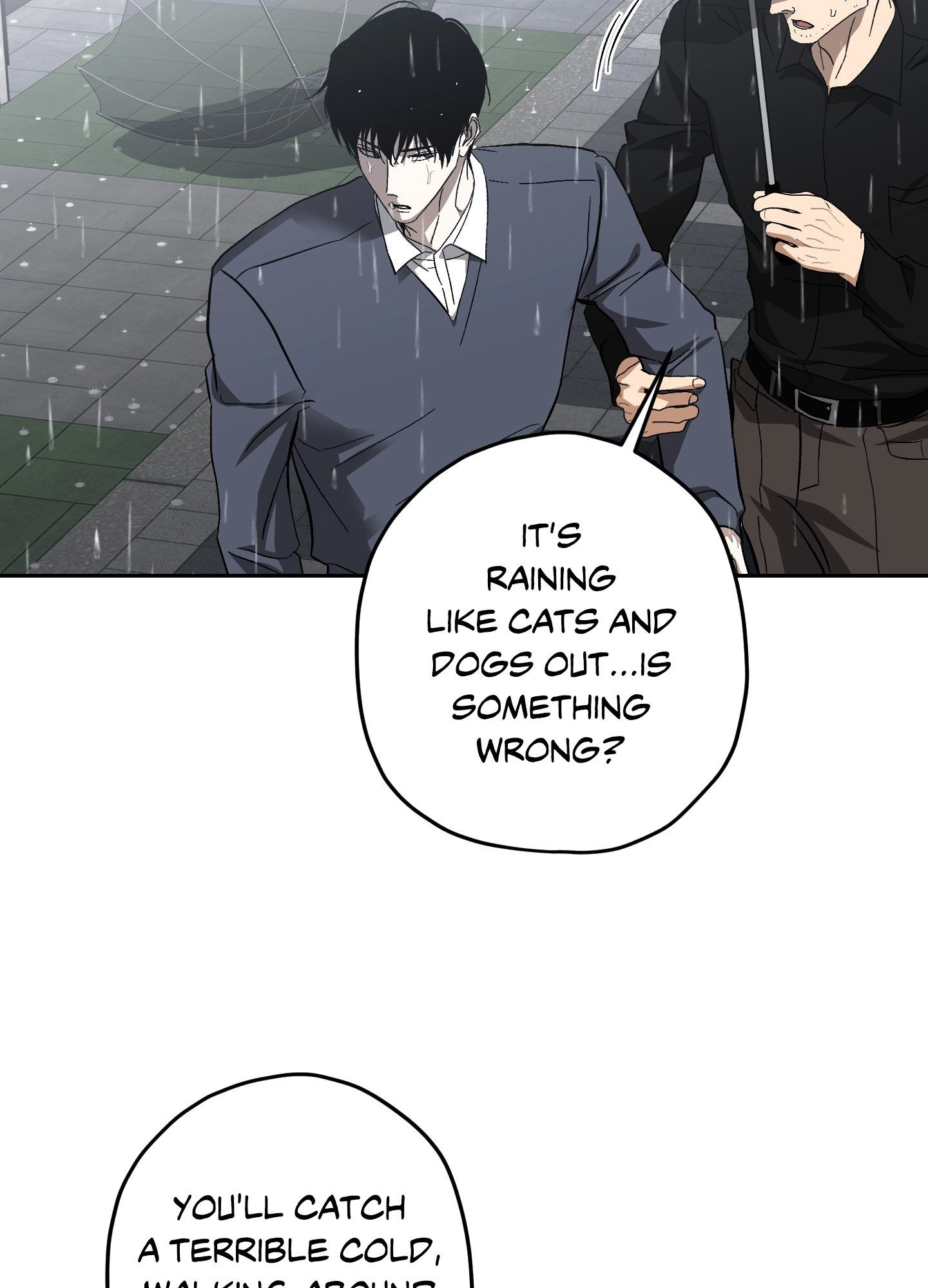Two Tigers, Too Close Chapter 29 page 47 - 