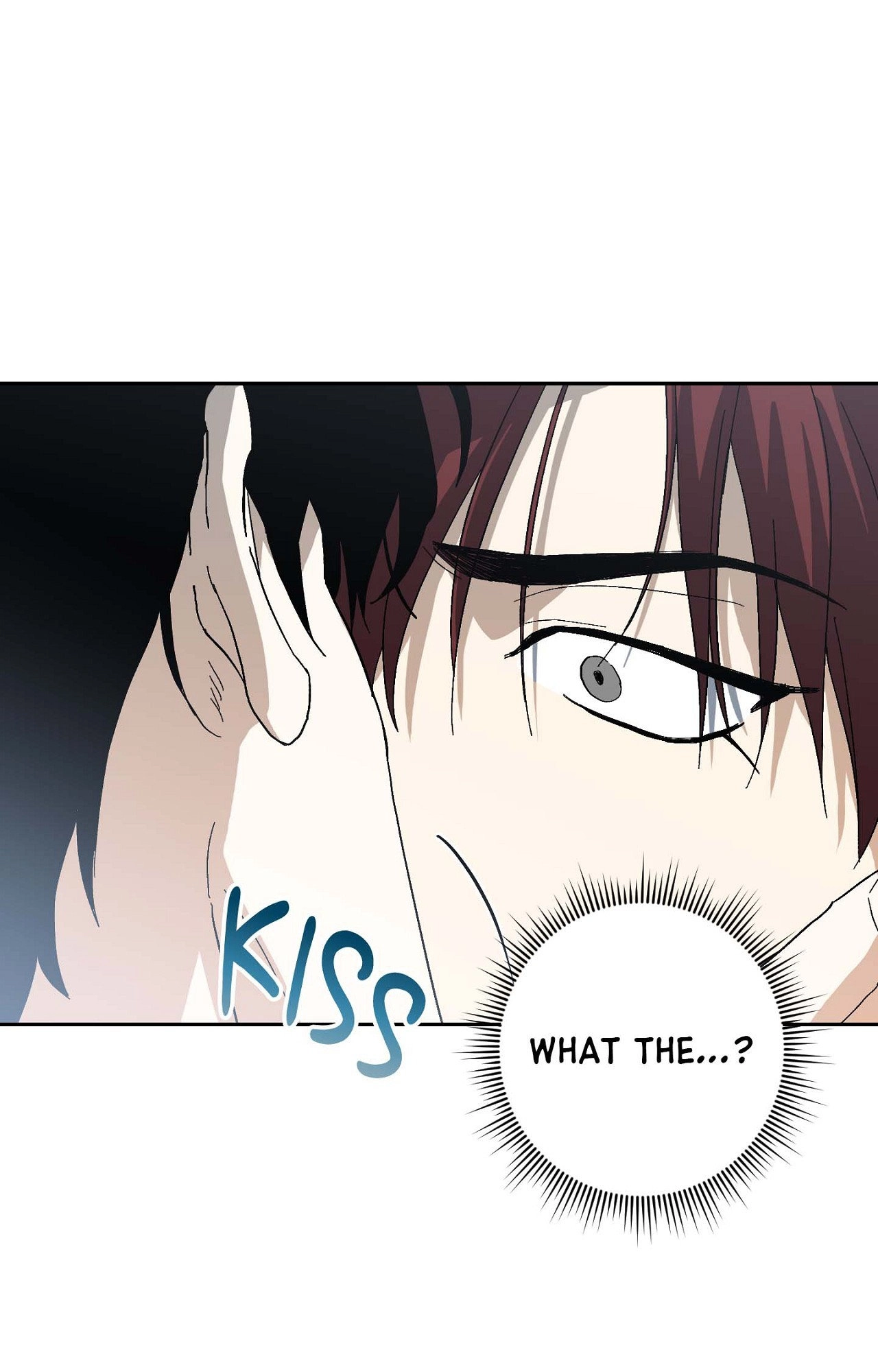 Two Tigers, Too Close Chapter 5 page 13 - 