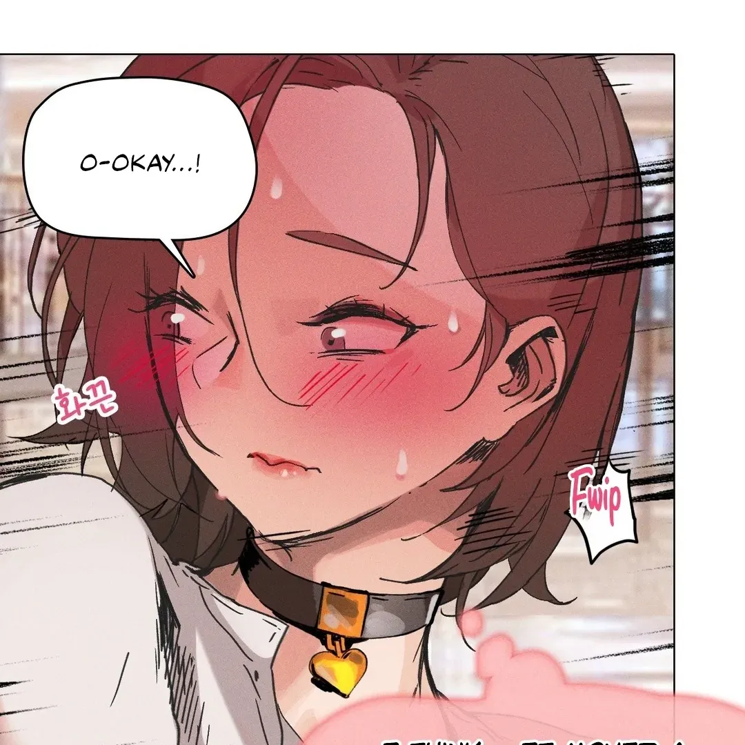 Type of Exercise Chapter 1 page 17 - 