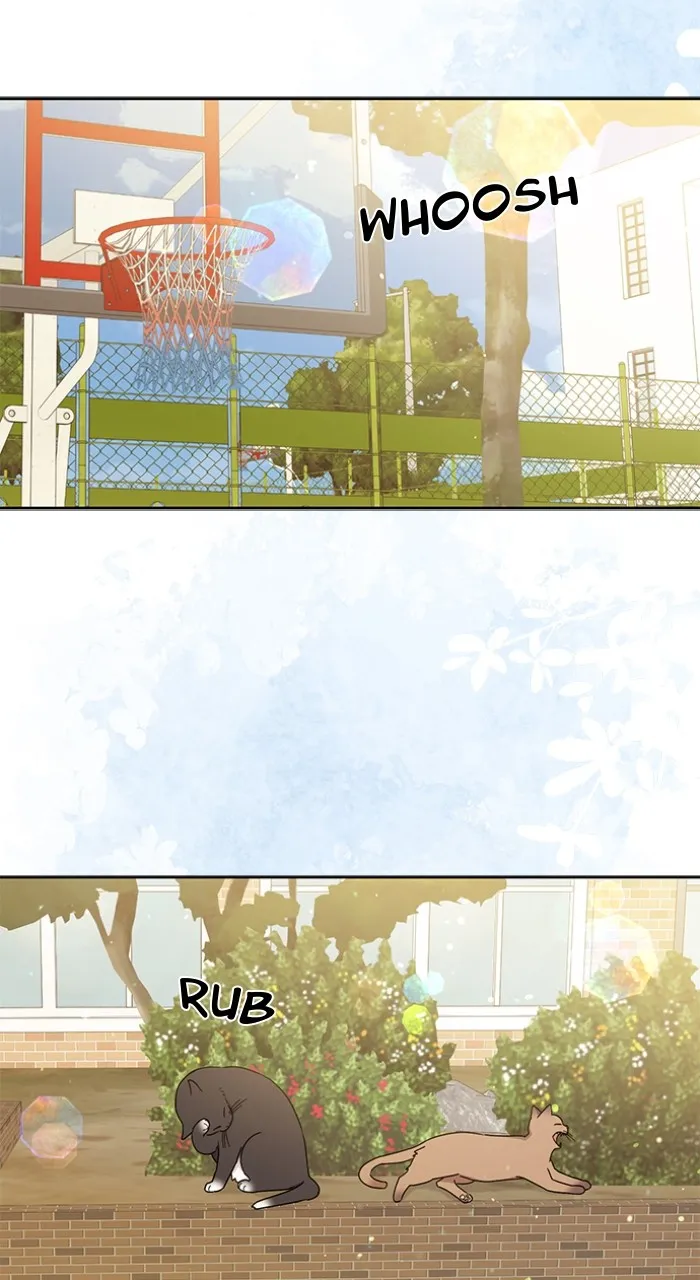 Ugly Duckling Complex Chapter 25 page 75 - 