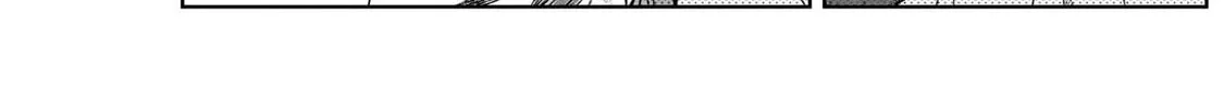 Uma Musume: Cinderella Gray Chapter 118 page 14 - 