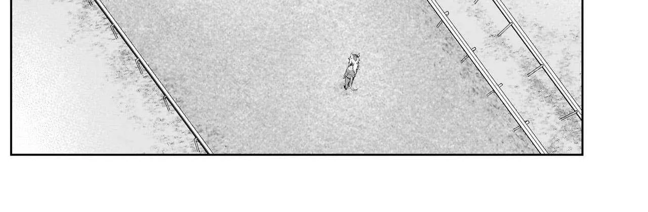 Uma Musume: Cinderella Gray Chapter 146 page 31 - 
