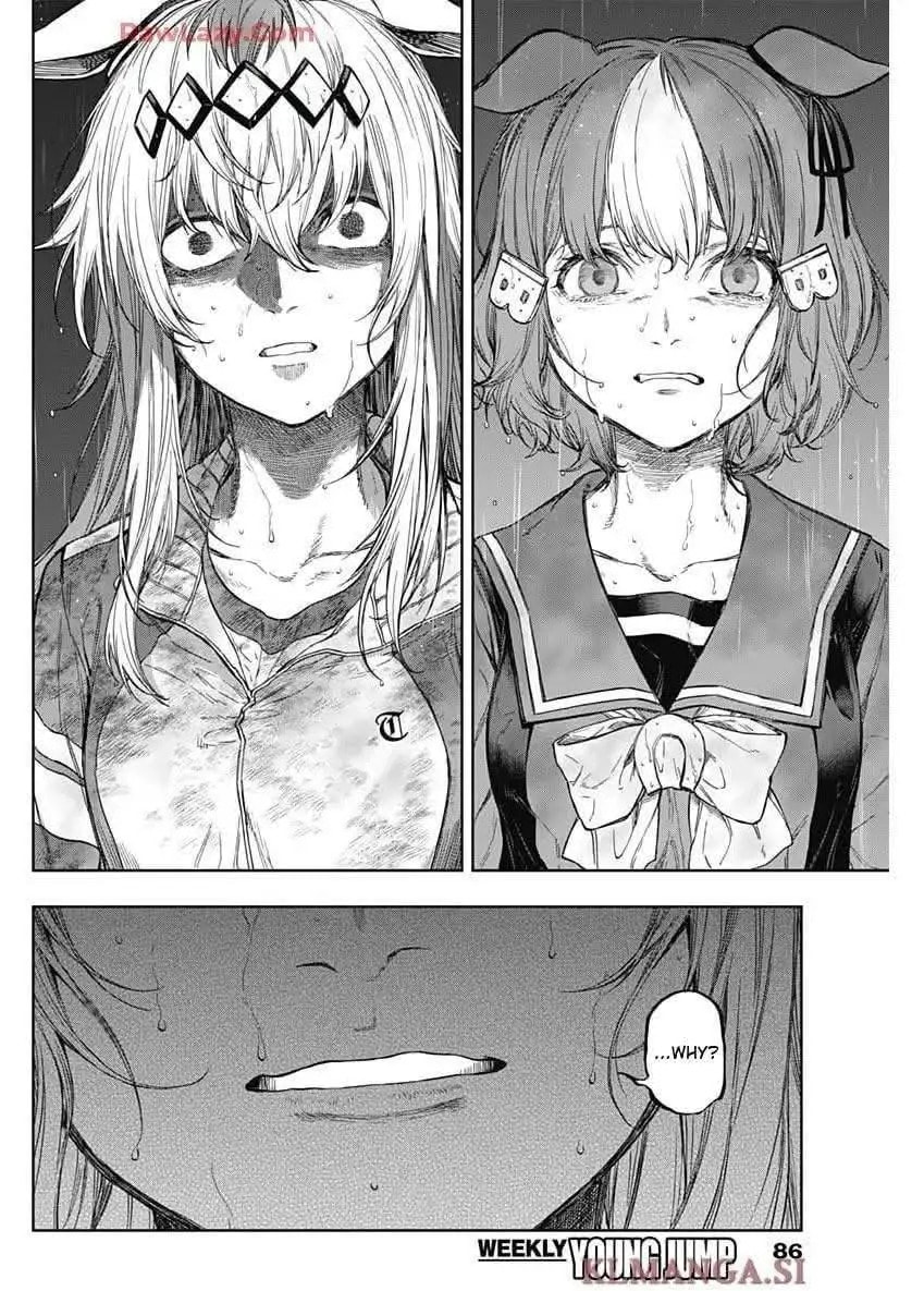 Uma Musume: Cinderella Gray Chapter 196 page 12 - 