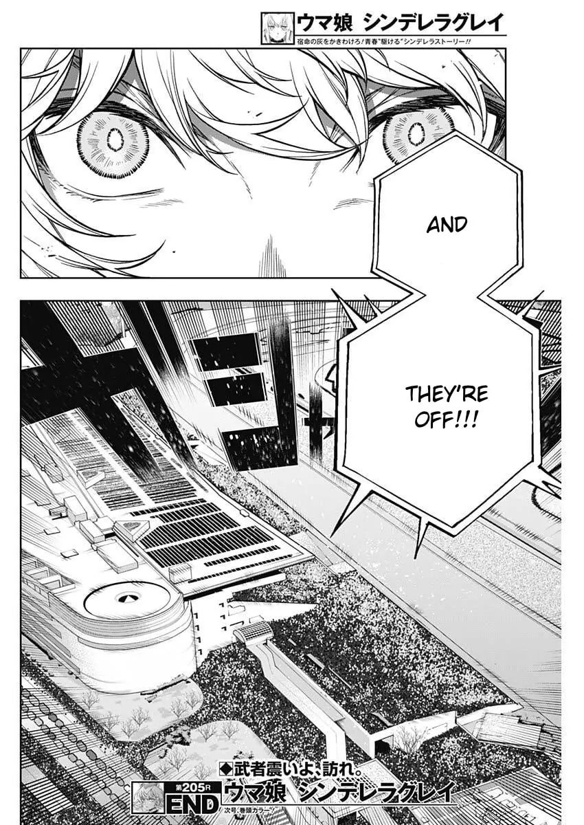 Uma Musume: Cinderella Gray Chapter 205 page 17 - 