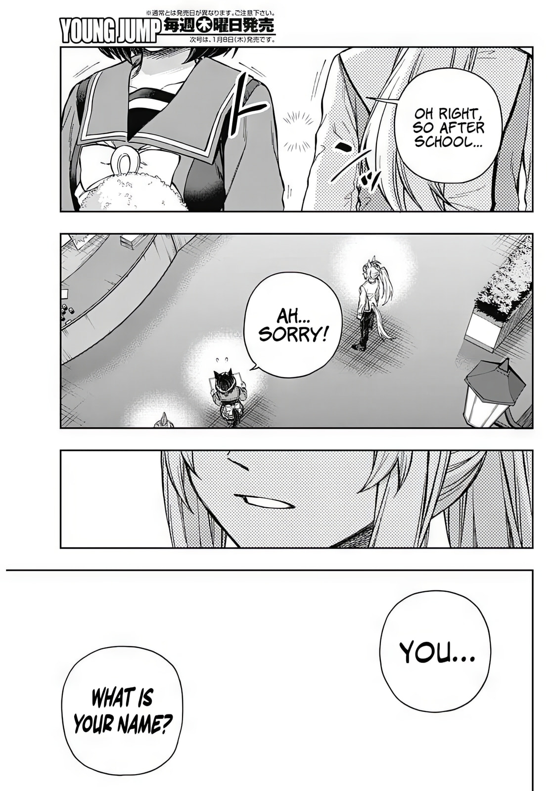 Uma Musume: Cinderella Gray Chapter 210 page 17 - 