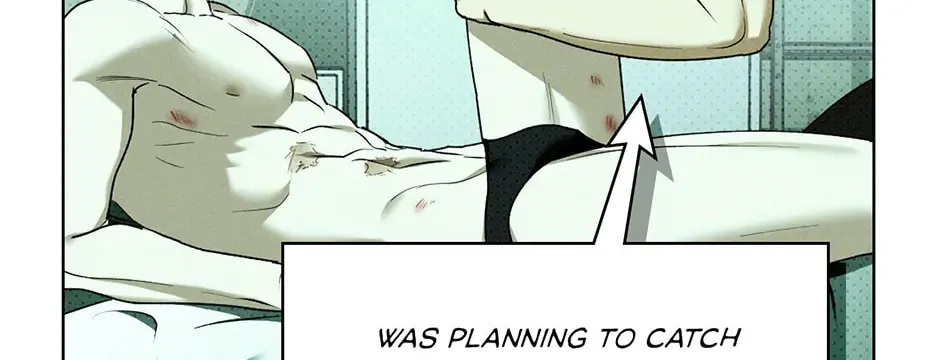 Under the Green Light Chapter 41 page 60 - 