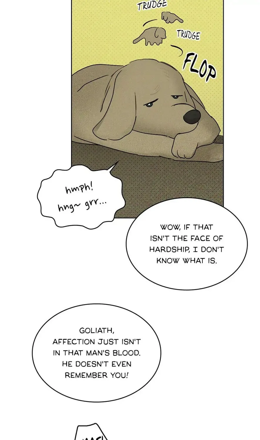 Under the Greenlight Chapter 26 page 45 - 