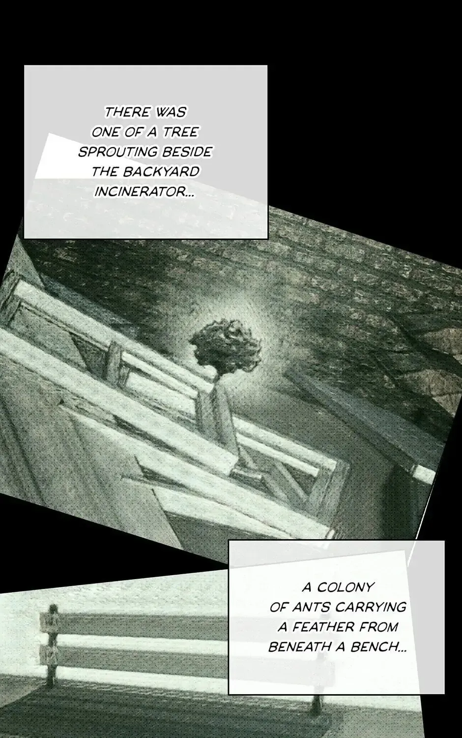 Under the Greenlight Chapter 37 page 25 - 