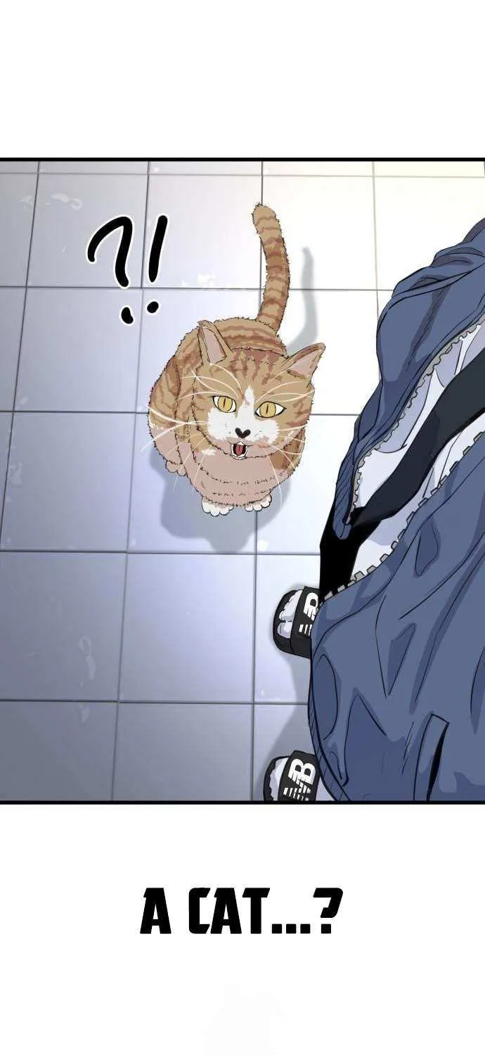 Underboxer Chapter 3 page 67 - 