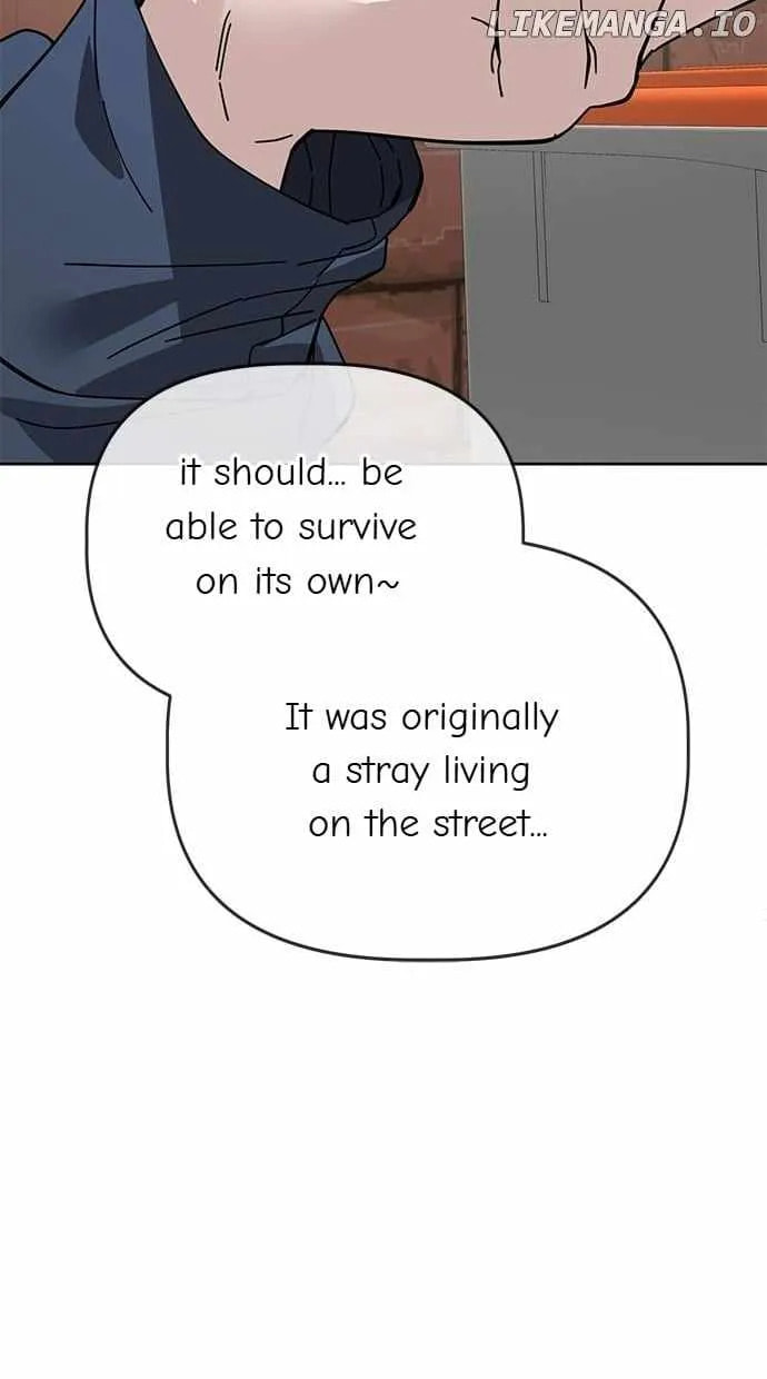 Unemployed Gye Baeksun Chapter 101 page 65 - 