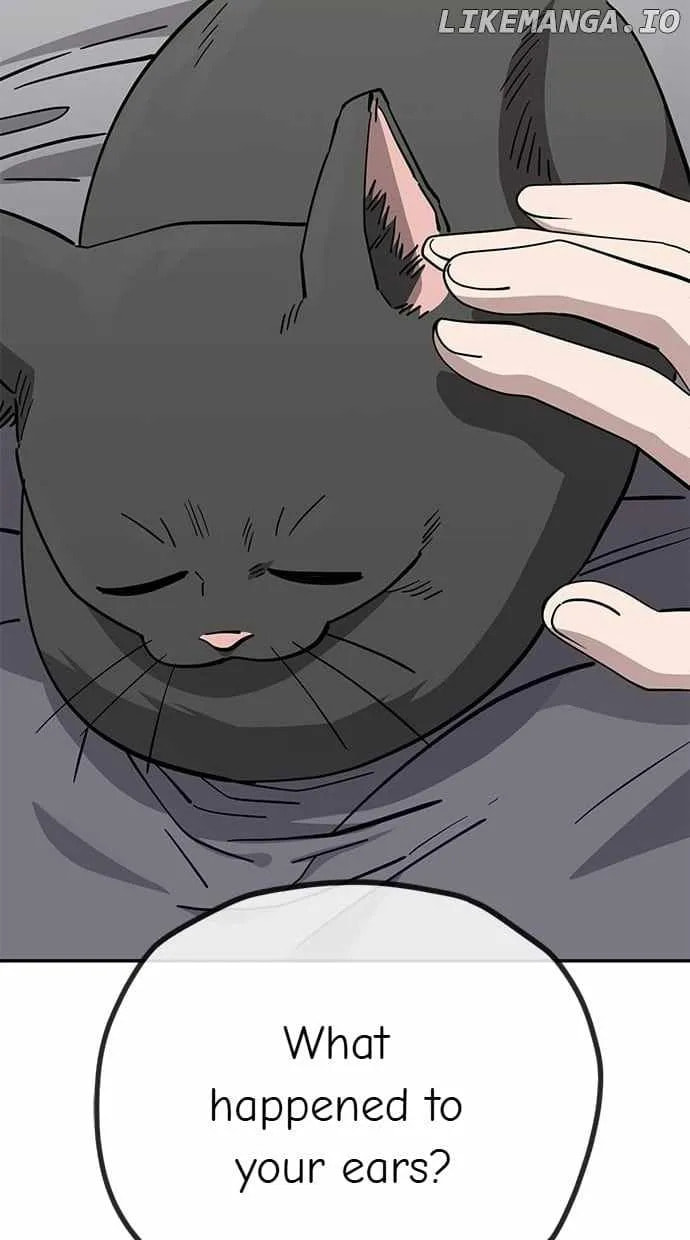 Unemployed Gye Baeksun Chapter 113 page 62 - 