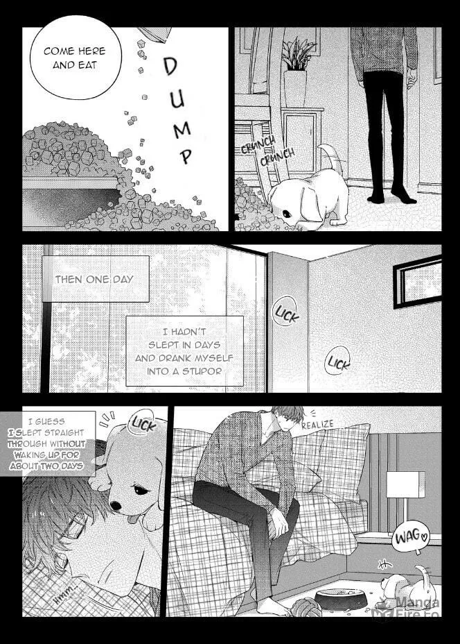 Unintentional Love Story Chapter 44 page 21 - 