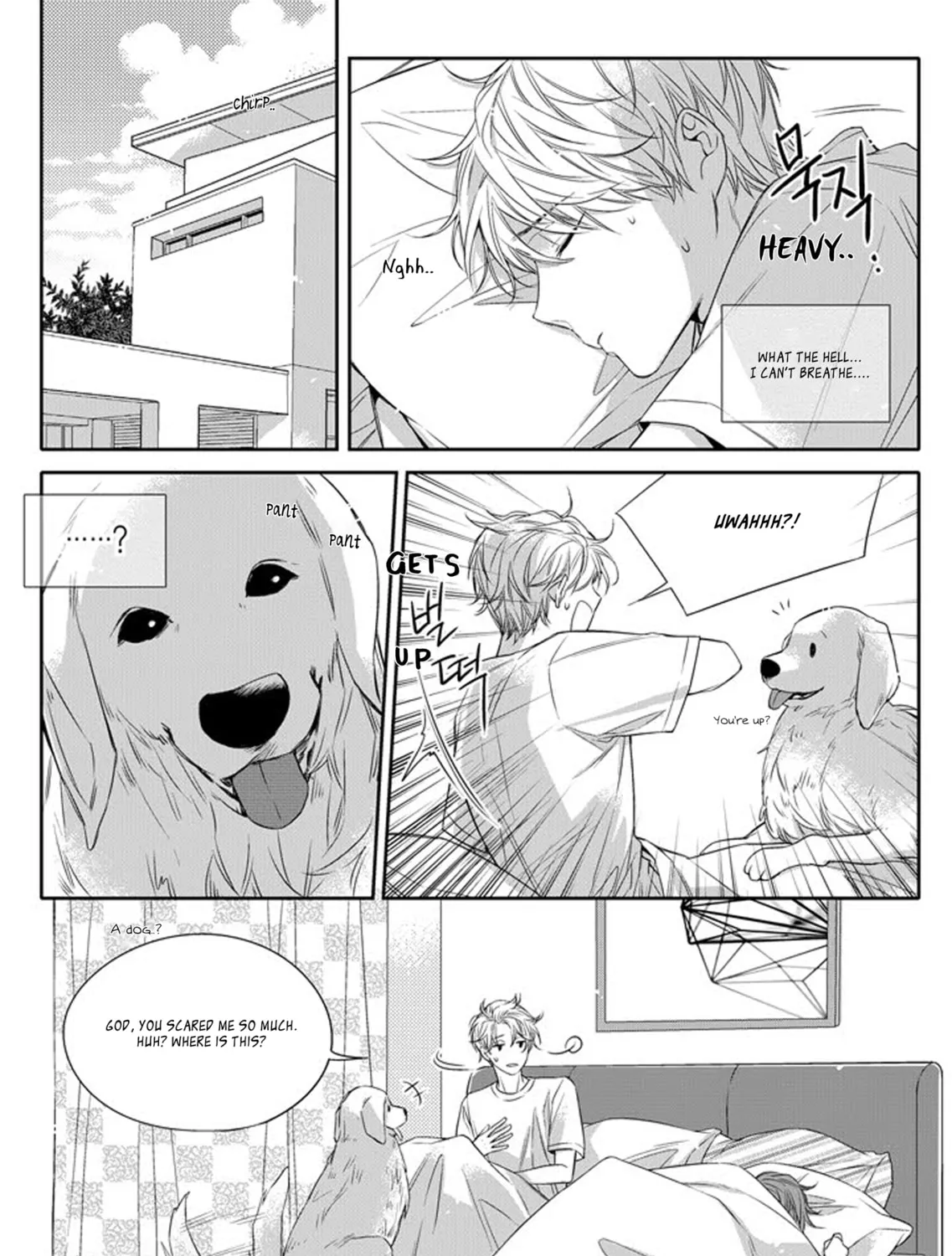 Unintentional Love Story Chapter 6 page 12 - 