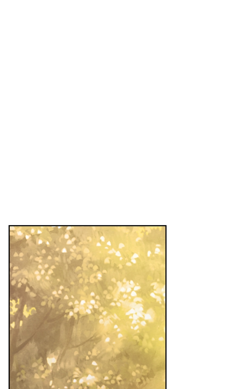 Universe