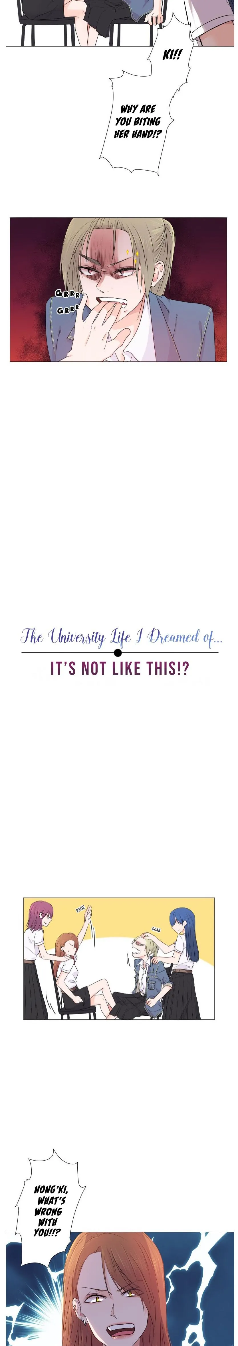 University Life I Dreamed of... It
