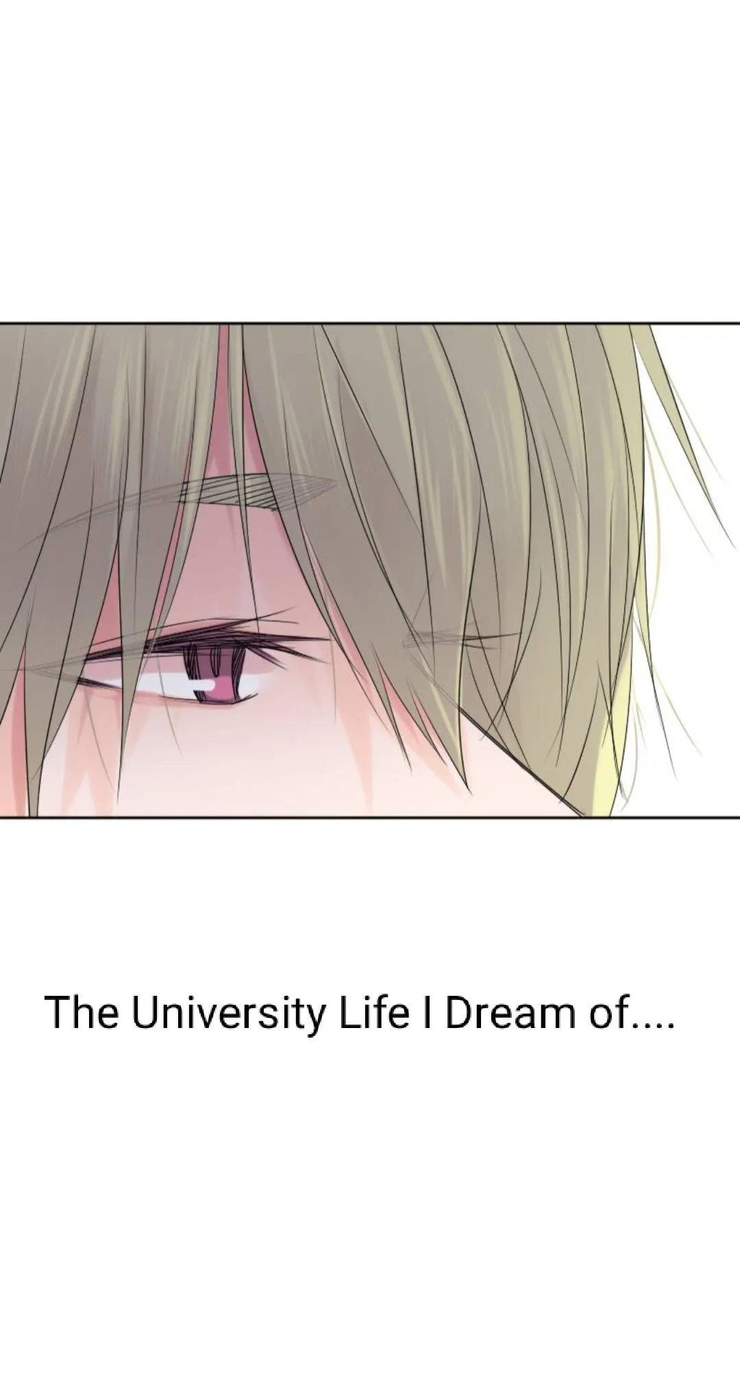 University Life I Dreamed of... It