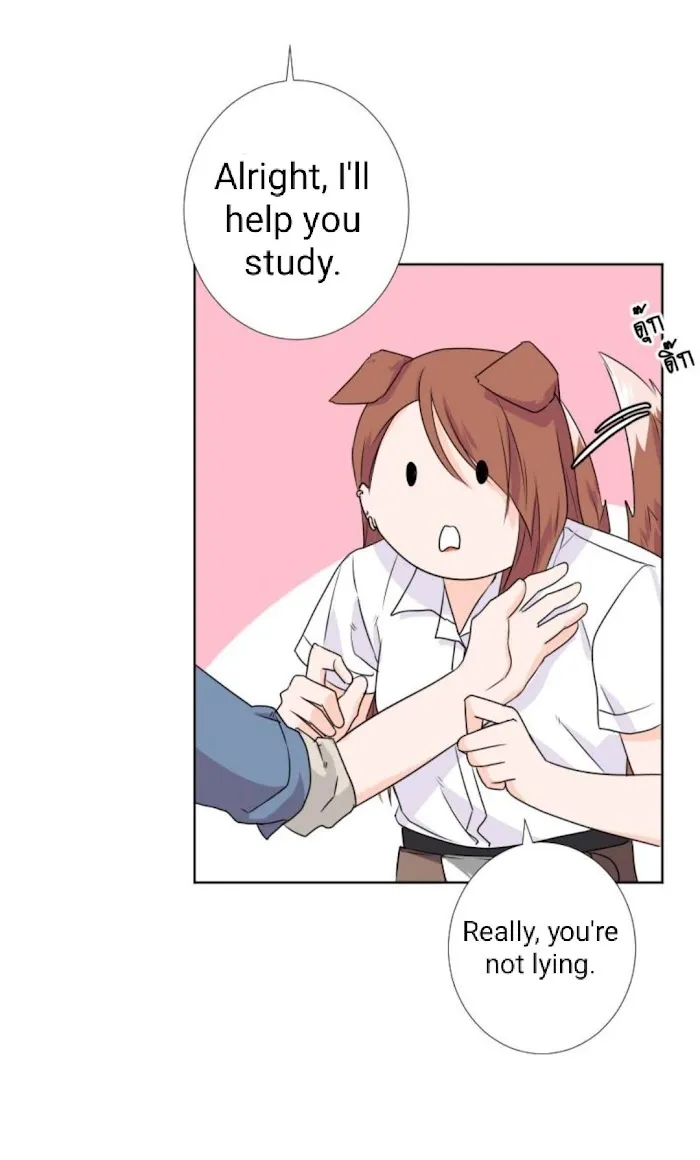 University Life I Dreamed of... It
