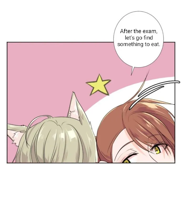 University Life I Dreamed of... It