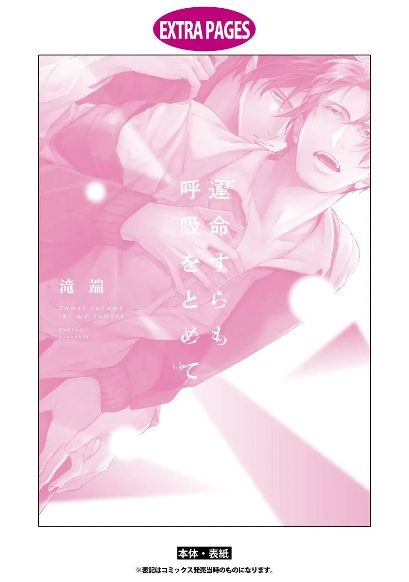 Unmei Sura mo Kokyuu wo Tomete Chapter 6.5 page 16 - 