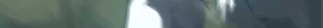 Unparalleled in the Online Gaming World (Remake) Chapter 3 page 241 - 