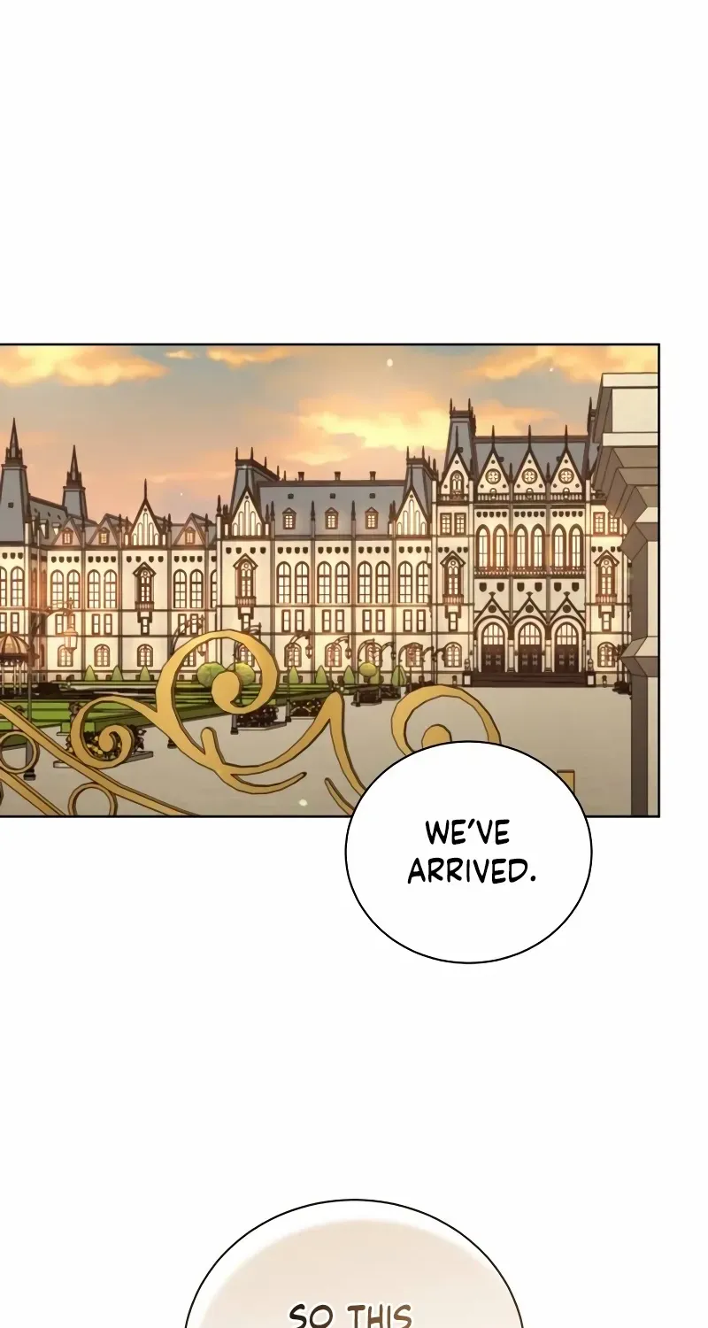 Unrequited Love Doesn’t End With Marriage Chapter 66 page 77 - 